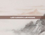 vp是什么虚拟货币6(vp数字币合法吗)