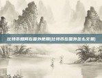 比特币如何在国外使用(比特币在国外怎么交易)