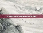 比特币百分比怎么看(比特币占比怎么看)