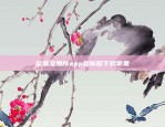 币安cvv是什么意思