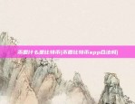 币圈什么是比特币(币圈比特币app合法吗)