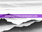 比特币刚开始怎么发现(比特币刚出来是怎么挖的)