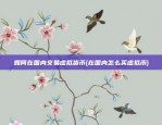 如何在国内交易虚拟货币(在国内怎么买虚拟币)