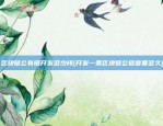 比特币泡沫有什么用(比特币泡沫有什么用途)