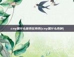 cny是什么货币比特币(cny是什么币种)