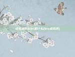 虚拟货币bibi是什么(bic虚拟币)