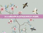 币安资产分布