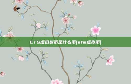 ETS虚拟货币是什么币(etm虚拟币)