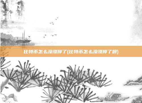 比特币怎么没涨停了(比特币怎么没涨停了呀)