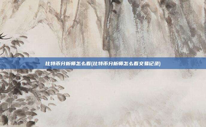 比特币分析师怎么看(比特币分析师怎么看交易记录)