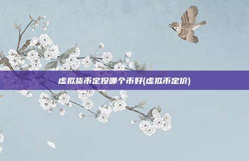 虚拟货币定投哪个币好(虚拟币定价)