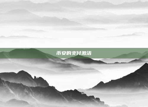 币安的支付激活