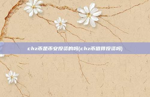 chz币是币安投资的吗(chz币值得投资吗)