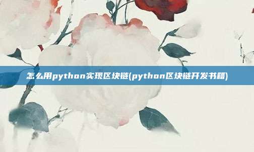 怎么用python实现区块链(python区块链开发书籍)