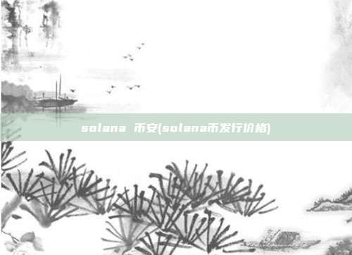 solana 币安(solana币发行价格)