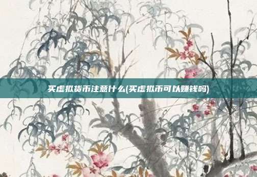 买虚拟货币注意什么(买虚拟币可以赚钱吗)