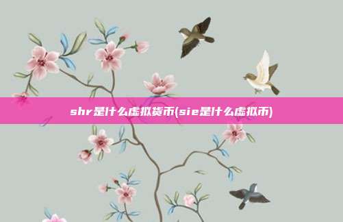 shr是什么虚拟货币(sie是什么虚拟币)