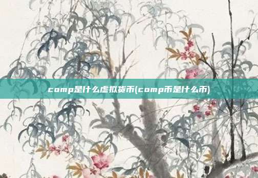 comp是什么虚拟货币(comp币是什么币)