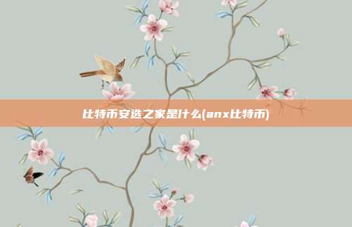 比特币安选之家是什么(anx比特币)