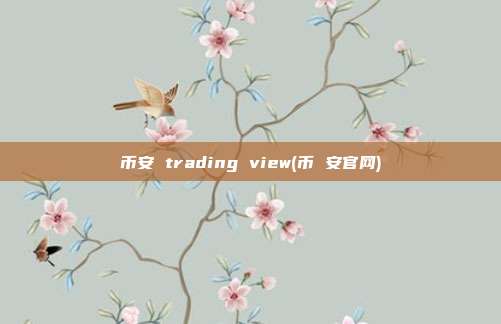 币安 trading view(币 安官网)