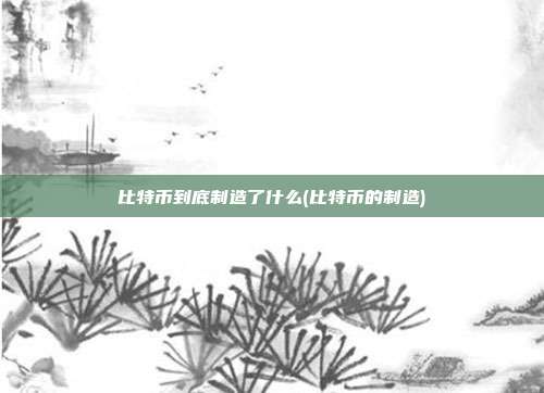 比特币到底制造了什么(比特币的制造)