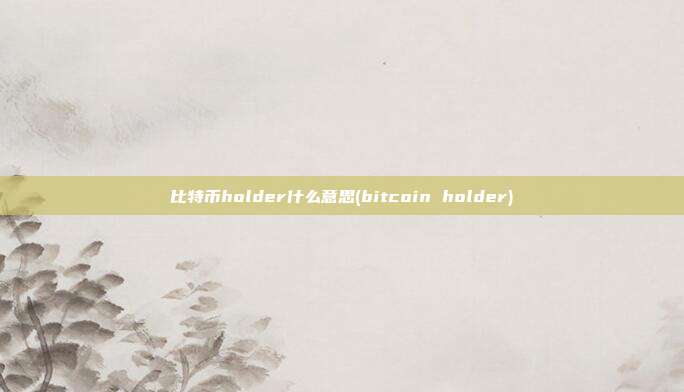 比特币holder什么意思(bitcoin holder)