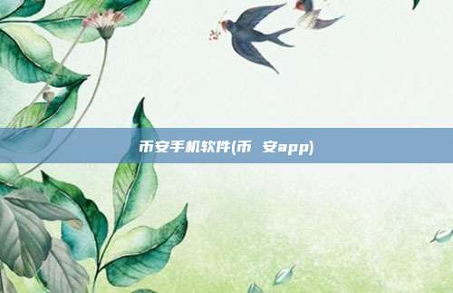 币安手机软件(币 安app)