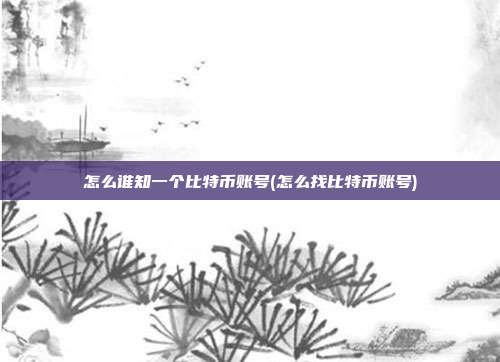 怎么谁知一个比特币账号(怎么找比特币账号)