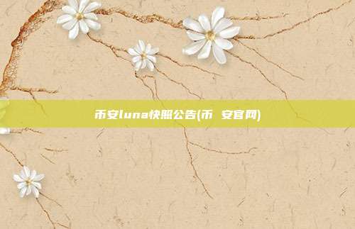 币安luna快照公告(币 安官网)