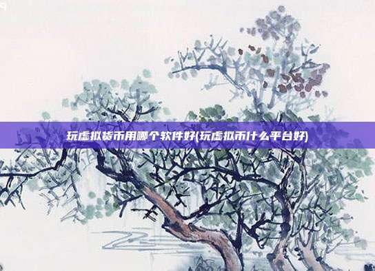 玩虚拟货币用哪个软件好(玩虚拟币什么平台好)