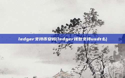 ledger支持币安吗(ledger钱包支持usdt么)