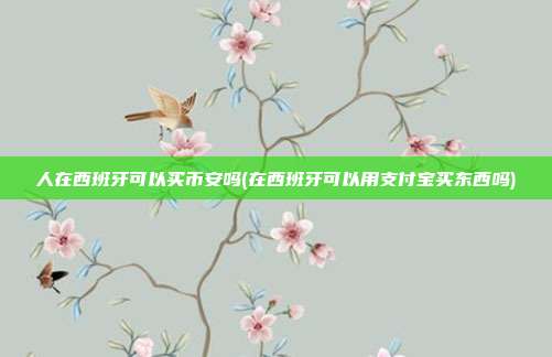 人在西班牙可以买币安吗(在西班牙可以用支付宝买东西吗)