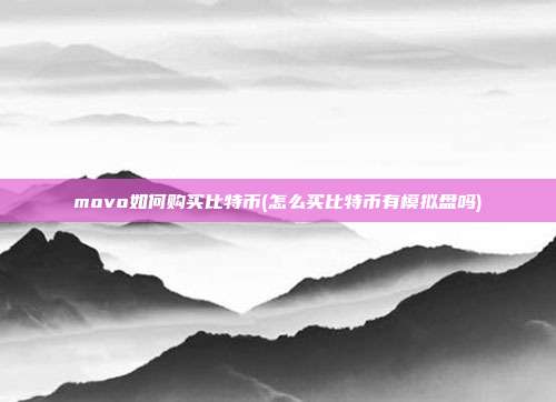 movo如何购买比特币(怎么买比特币有模拟盘吗)