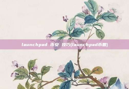 launchpad 币安 技巧(launchpad币圈)