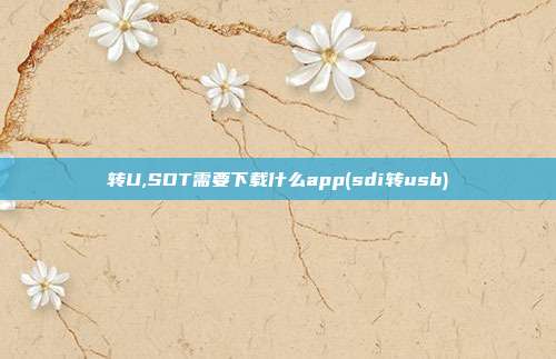 转U,SDT需要下载什么app(sdi转usb)