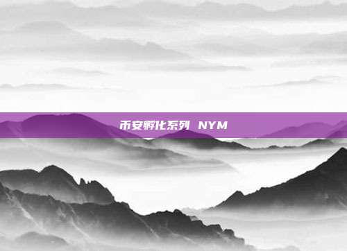 币安孵化系列 NYM