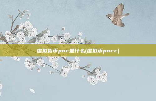 虚拟货币poc是什么(虚拟币pocc)