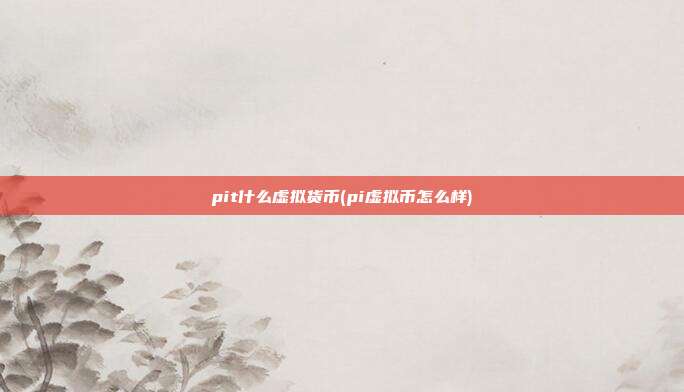 pit什么虚拟货币(pi虚拟币怎么样)