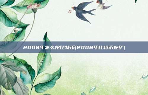 2008年怎么挖比特币(2008年比特币挖矿)