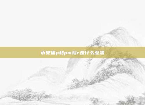 币安里p和pm和r是什么意思