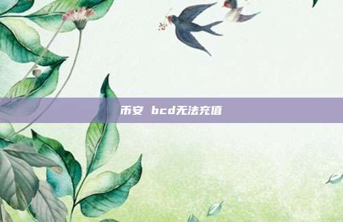 币安 bcd无法充值