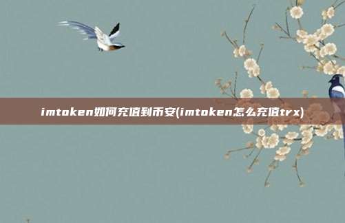 imtoken如何充值到币安(imtoken怎么充值trx)