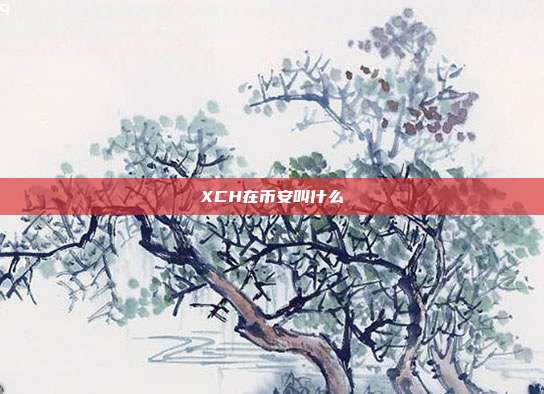 XCH在币安叫什么