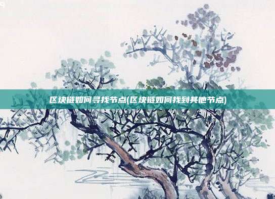 区块链如何寻找节点(区块链如何找到其他节点)