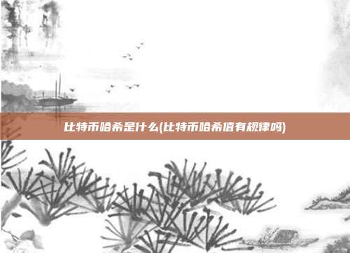 比特币哈希是什么(比特币哈希值有规律吗)