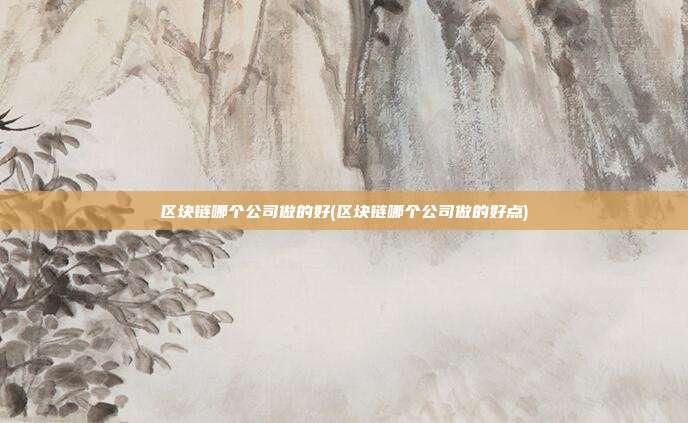 区块链哪个公司做的好(区块链哪个公司做的好点)