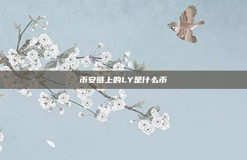 币安链上的LY是什么币