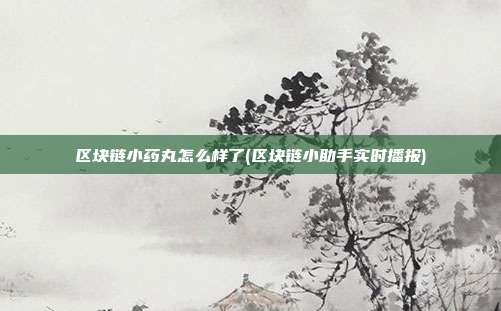 区块链小药丸怎么样了(区块链小助手实时播报)