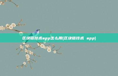 区块链技术app怎么用(区块链技术 app)