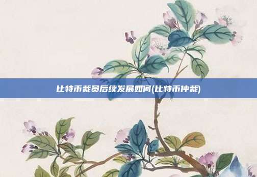 比特币裁员后续发展如何(比特币仲裁)